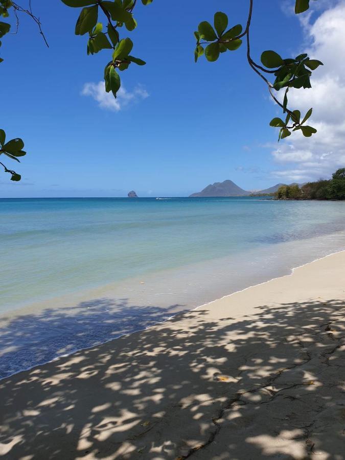 Ste Luce, N° 11 Appart -300M Plage De Mabouyas Corps de Garde 外观 照片