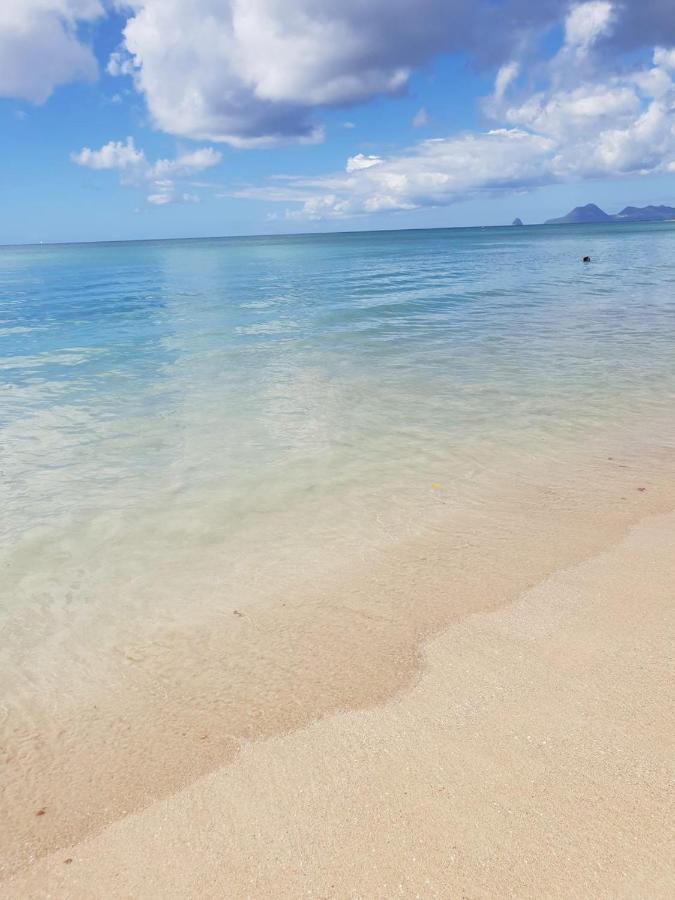 Ste Luce, N° 11 Appart -300M Plage De Mabouyas Corps de Garde 外观 照片