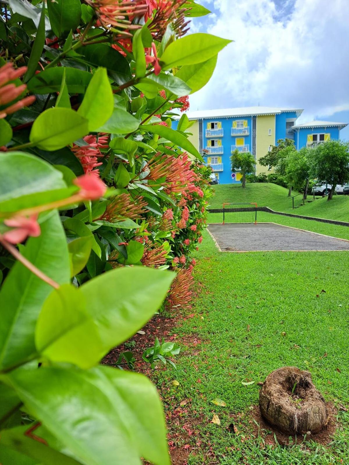 Ste Luce, N° 11 Appart -300M Plage De Mabouyas Corps de Garde 外观 照片