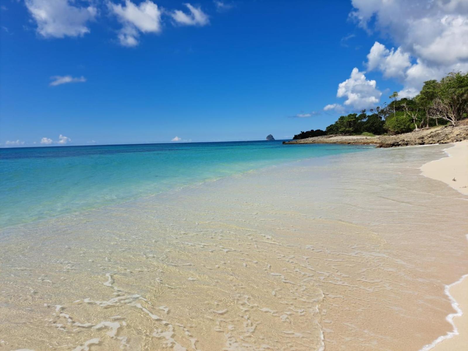 Ste Luce, N° 11 Appart -300M Plage De Mabouyas Corps de Garde 外观 照片