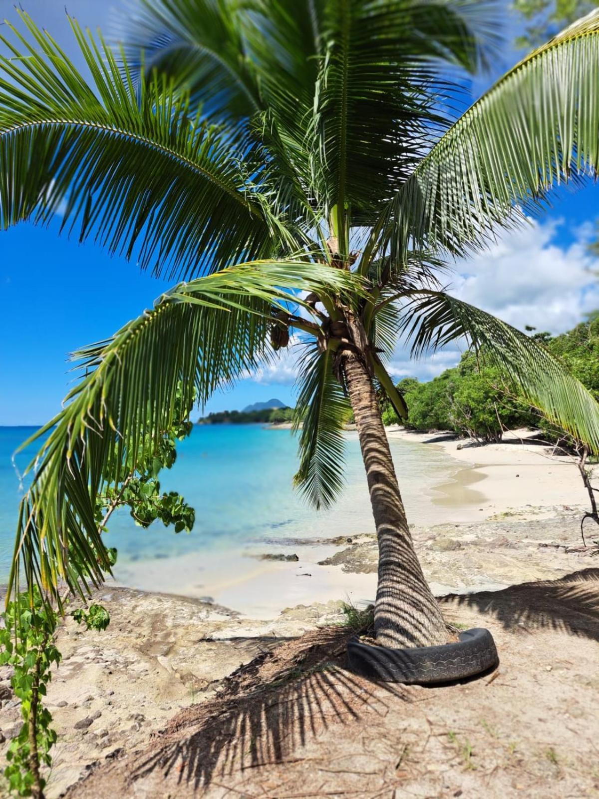 Ste Luce, N° 11 Appart -300M Plage De Mabouyas Corps de Garde 外观 照片